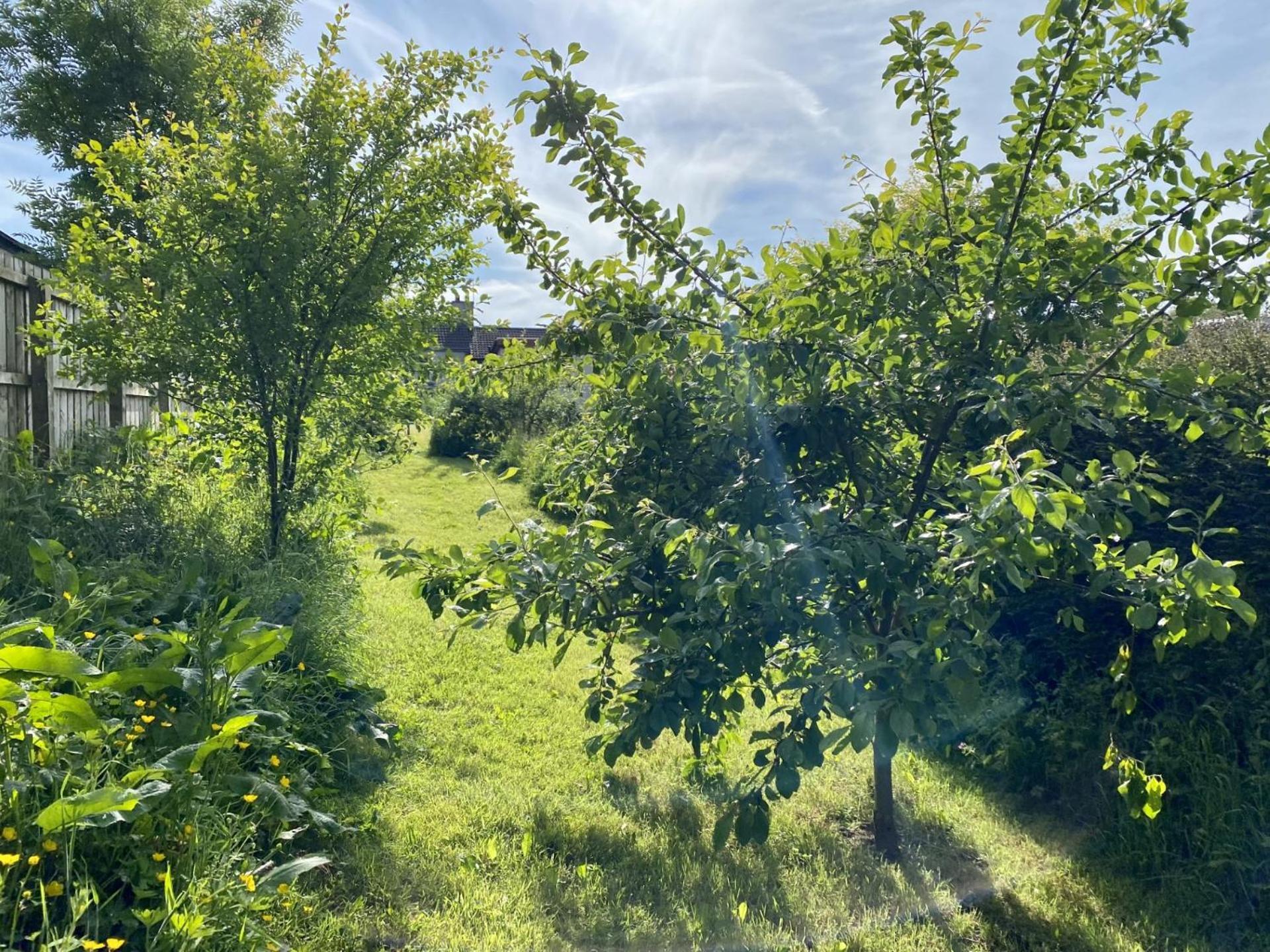 Fairhill Cottage Perfect Location With Garden In Central Ballycastle Dış mekan fotoğraf